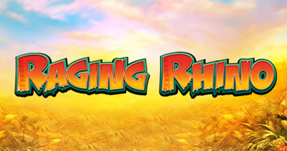 raging rhino slot game review