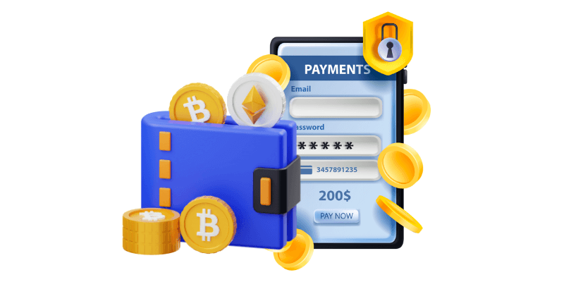Online payment using e-wallet