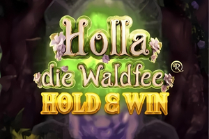 Holla die waldfee