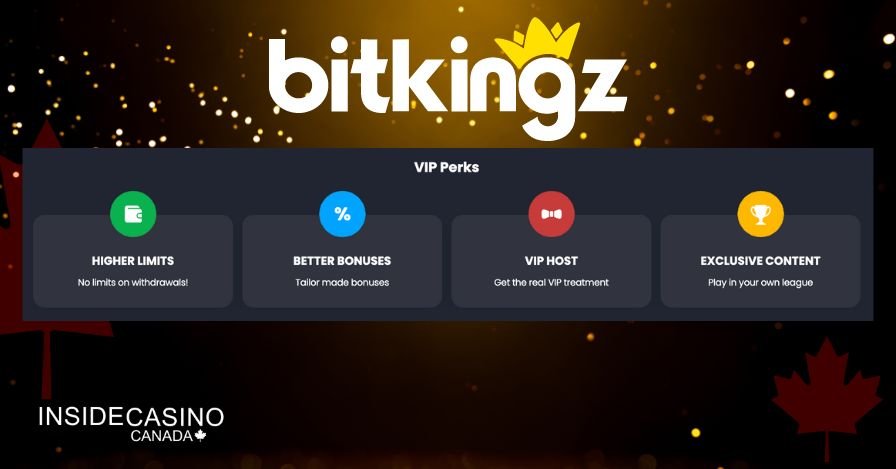 Bit kinz casino vip program