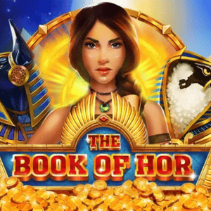 Zillion Games Casinos & Slots 2026 11 Book of hor