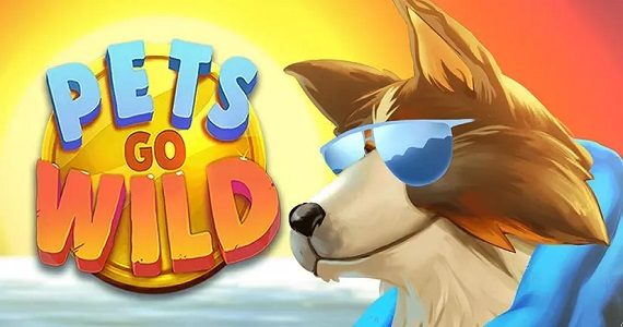 Pets Go Wild slot game by Skillzzgaming Canada