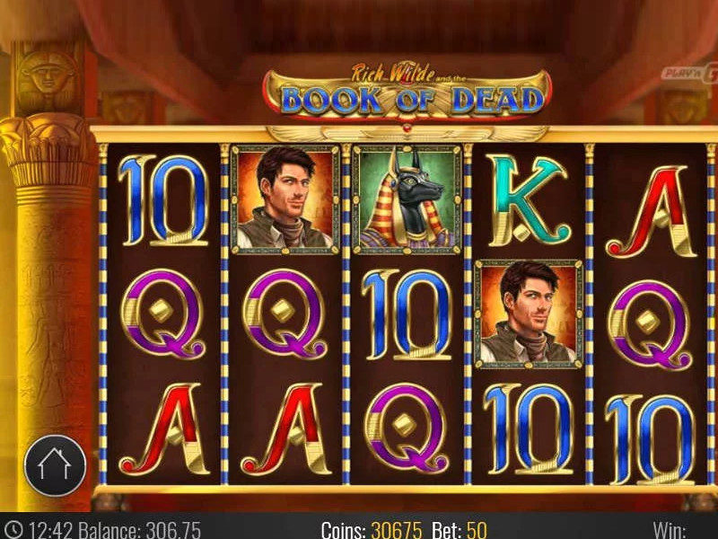 Book of dead slot game reels view ca