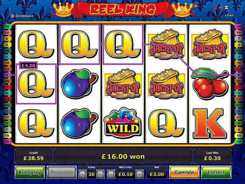 Reel king slot game