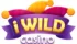 iWild Casino