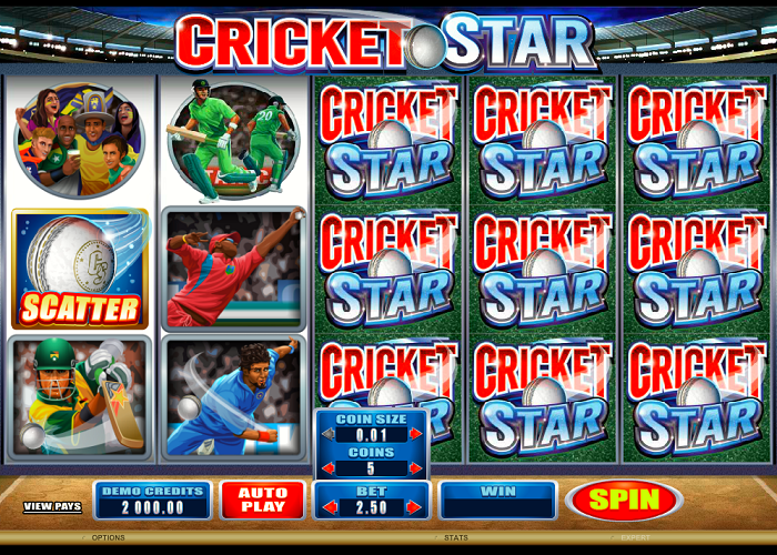Cricket star slot game reels view