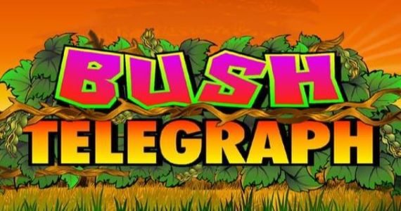 bush telegraph slot review microgaming logo
