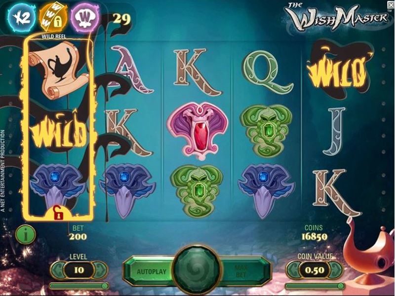More Details on The Wish Master Slot Game
