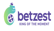 Betzest Casino Review (Canada)