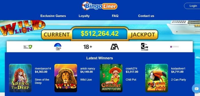 Bingo Liner homepage view and jackpots Canada