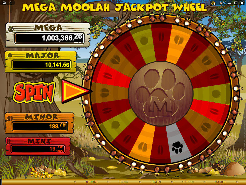 Mega moolah slot game reels view ca