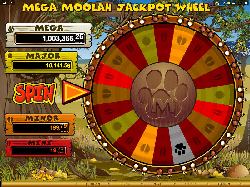 Mega moolah slot game reels view ca