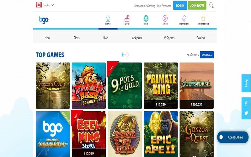 Top games to play at BGO Casino in Canada