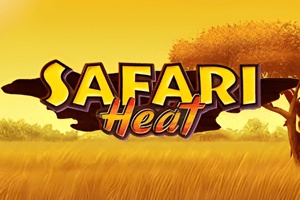 Safari heat