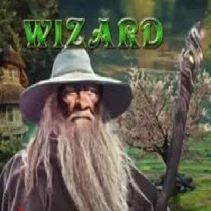 Wizard